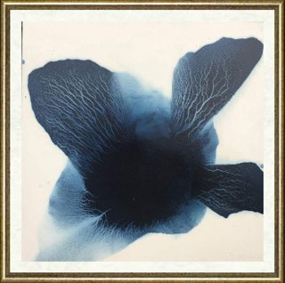 毛栗子_花非花 Floweriness17